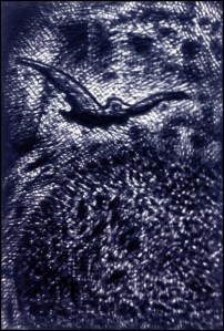 Mach Schach (Zeichnung: urian)