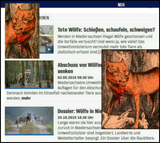 Wölfe im NDR screenshot / Zeichnung: urian