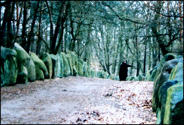 Sachsenhain Verden/Aller (Foto: urian)