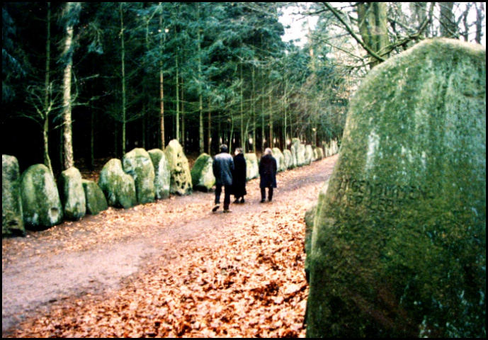 Sachsenhain Verden/Aller (urian)