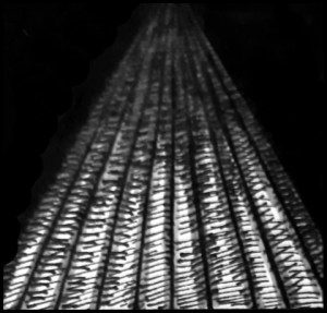 Seuchentagebuch (Zeichnung: urian)