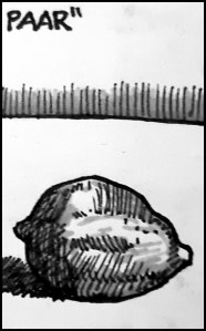 Seuchentagebuch (Zeichnung: urian)