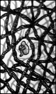 Seuchentagebuch (Zeichnung: urian)