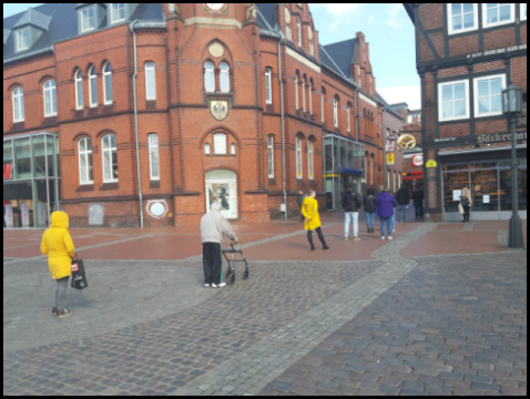 Seuche in Stade (Foto