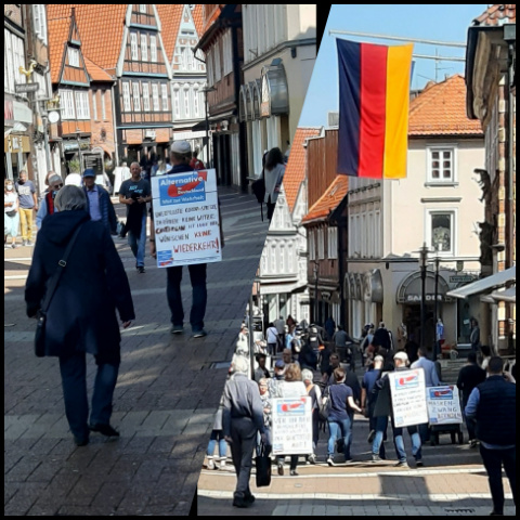 AfD in Stade 9.5.20 (Fotos: urian)
