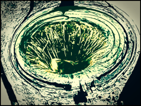 Söhlbruch Bispingen (Foto/Bearb.: urian)