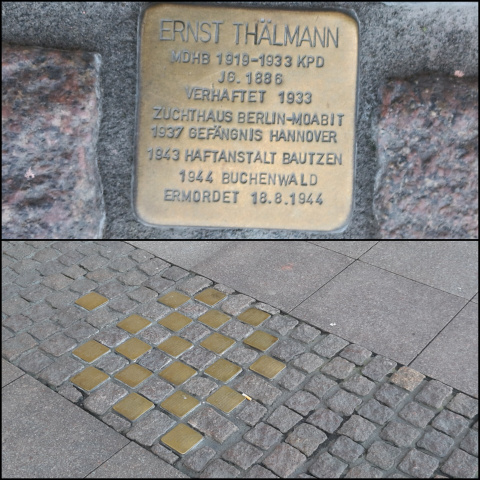 Stolpersteine vor dem Hamburger Rathaus / Ernst Thälmann (Foto: urian)